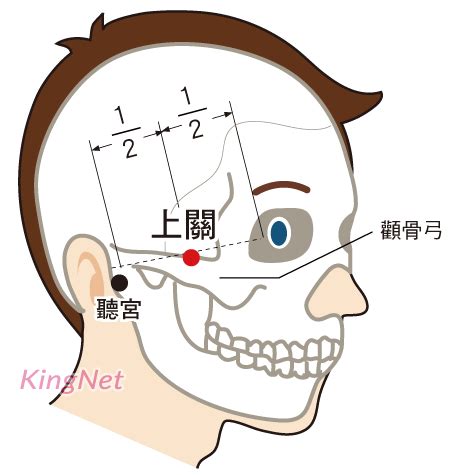 客主人 位置|客主人穴(上關)